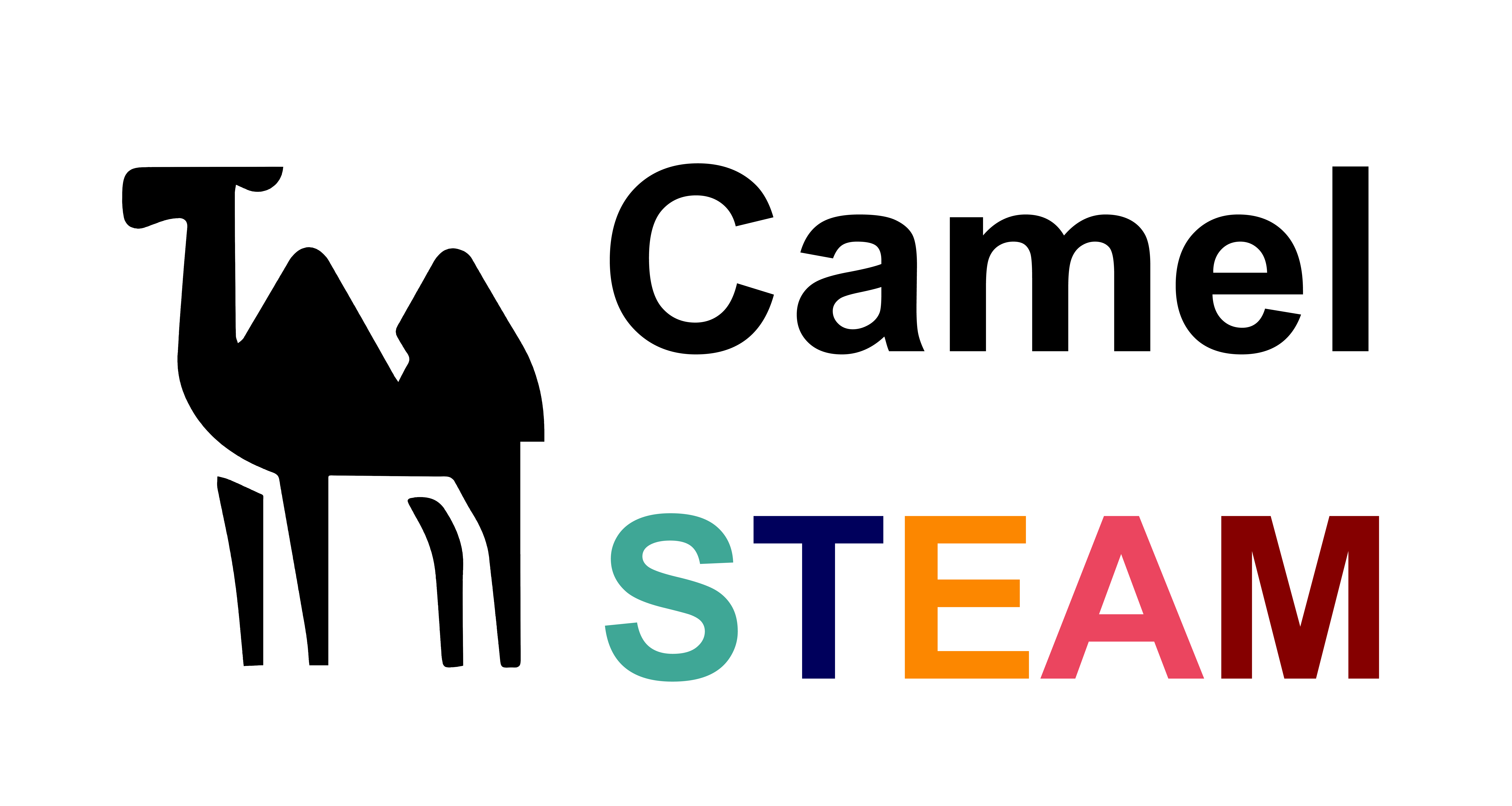 Camel STEAM 團隊